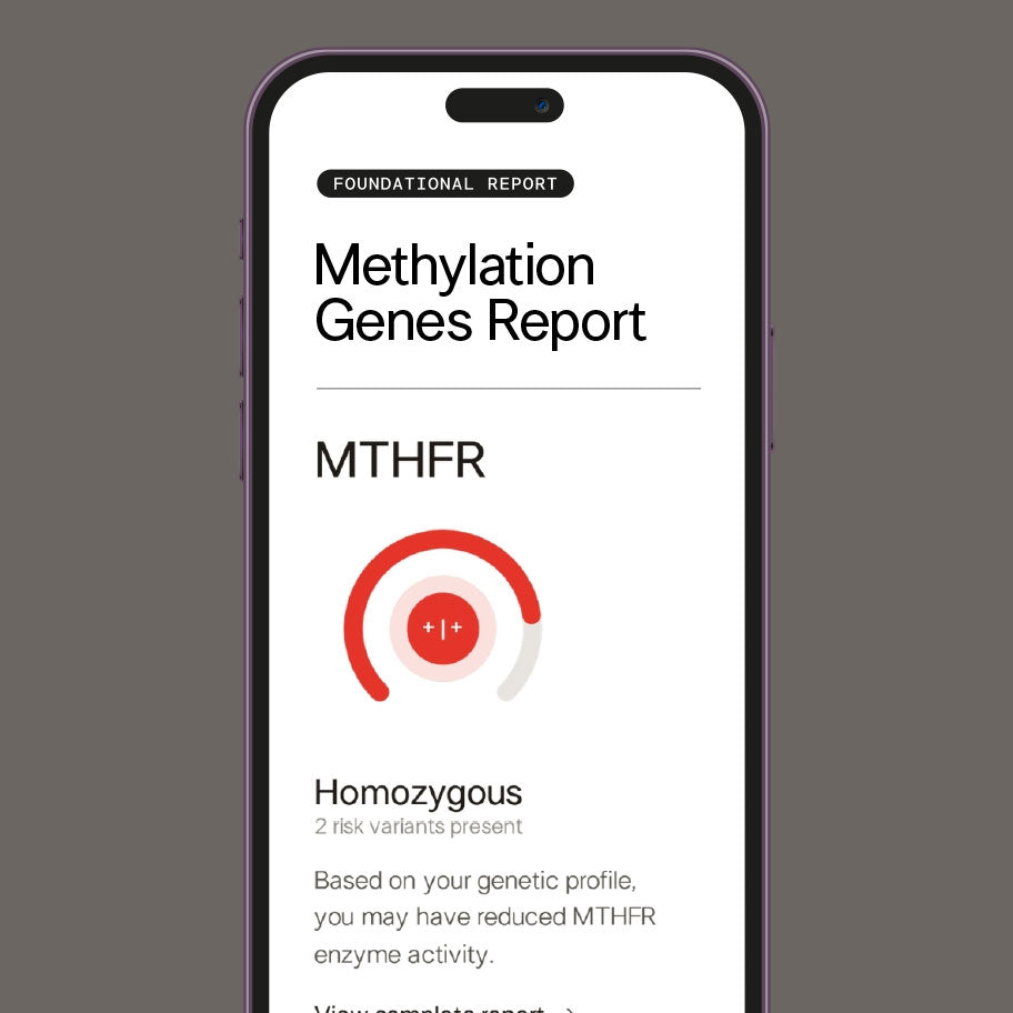 DNA Upload - Methylation Report